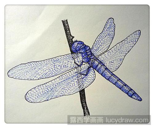 蜻蜓插画教程