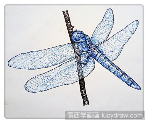 蜻蜓插画教程