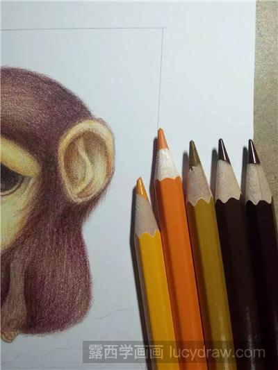 彩铅画教程：教你画委屈的小猴子