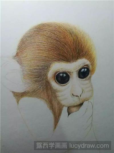 彩铅画教程：教你画破壳而出的小猴子