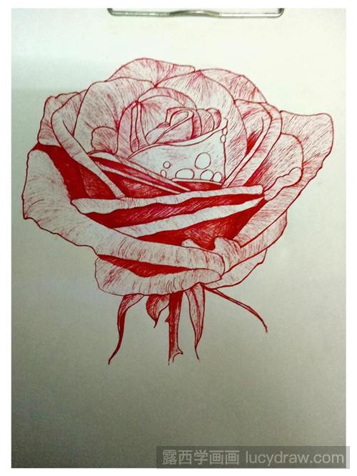 红玫瑰插画教程