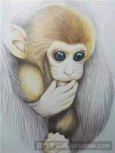 彩铅画教程：教你画破壳而出的小猴子