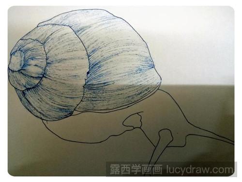 蜗牛插画教程