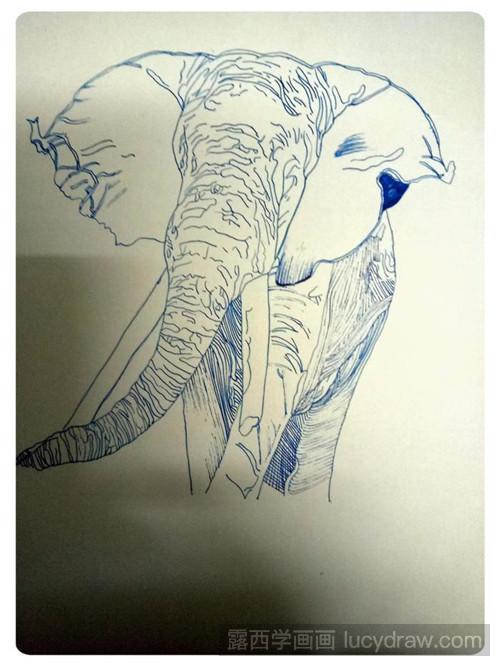 大象插画教程