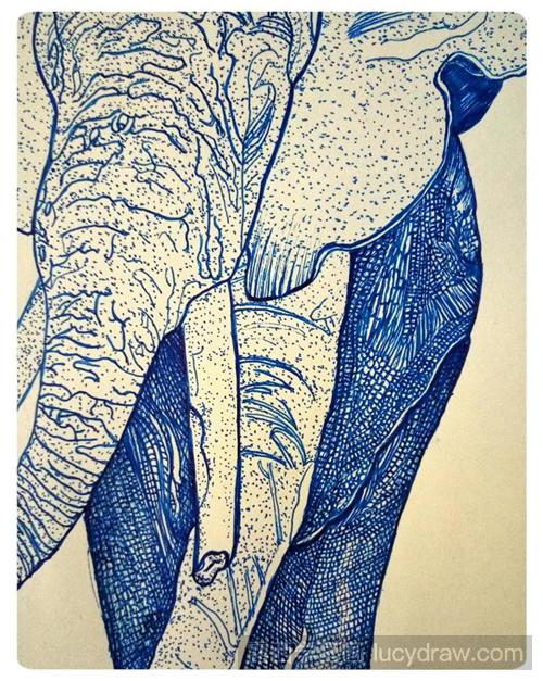大象插画教程