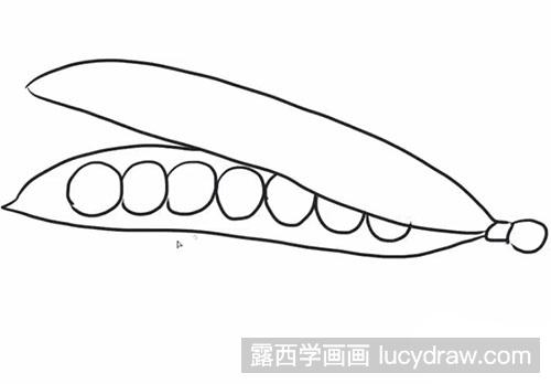 简笔画教程：怎么绘制豌豆