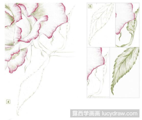 彩铅画教程：怎么画粉玫瑰