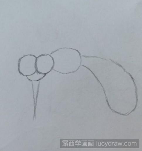 蚊子怎么画