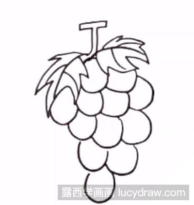 简笔画教程：怎么绘制葡萄