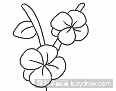 简笔画教程：怎么绘制牵牛花