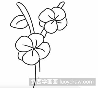 简笔画教程：怎么绘制牵牛花