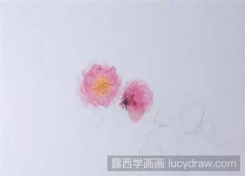 一枝红杏彩铅画教程