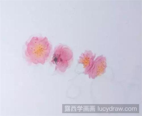 一枝红杏彩铅画教程