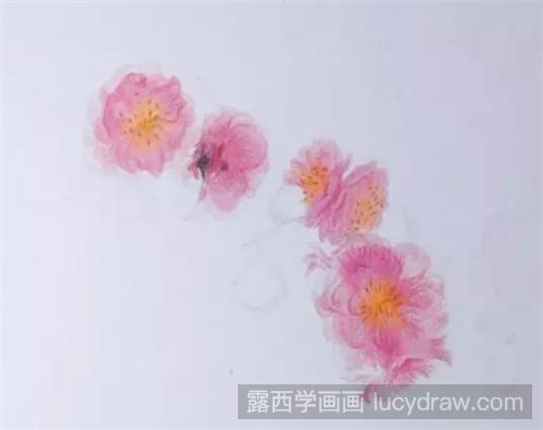 一枝红杏彩铅画教程