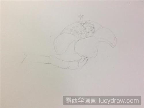 木棉花彩铅画教程