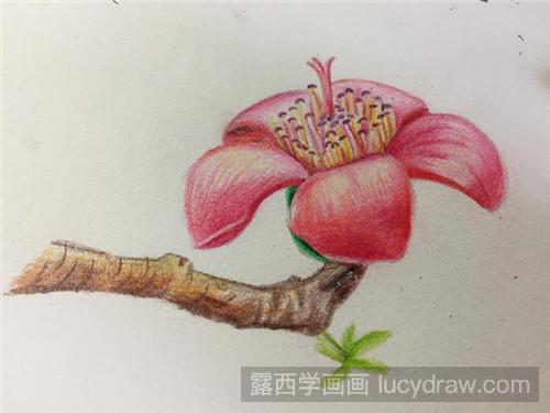 木棉花彩铅画教程