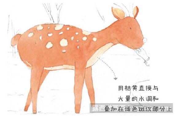 鹿与女孩水彩画教程