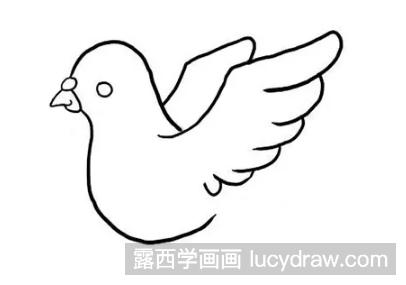 教你画一只和平鸽