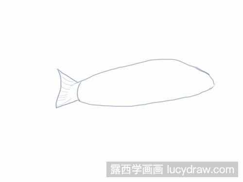 蓝宝石鱼简笔画教程