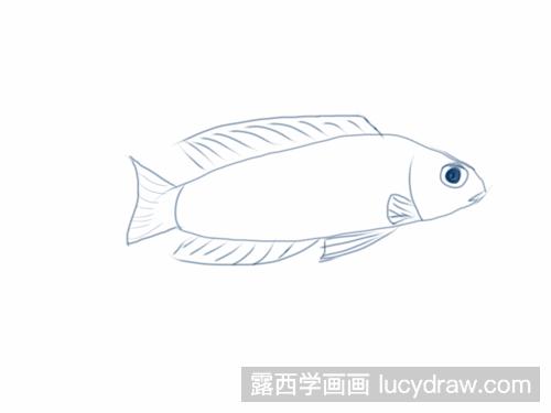 蓝宝石鱼简笔画教程