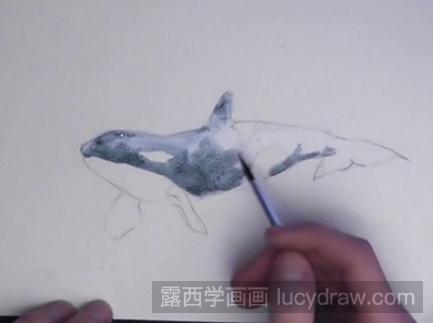 超简单的鲸鱼水彩画教程