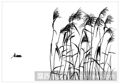 风景钢笔画教程：一片芦苇的画法