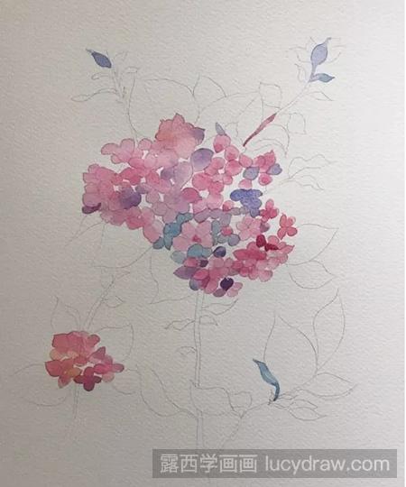 绣球花的水彩画步骤