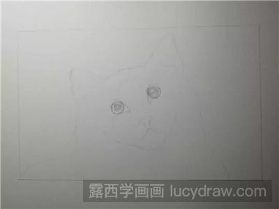 彩铅画教程：教你画猫咪