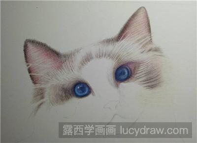 彩铅画教程：教你画猫咪