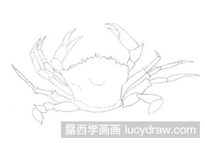 素描教程：教你画螃蟹