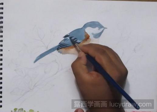 水彩画花鸟教程