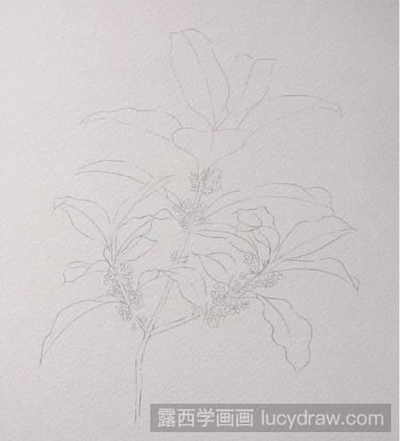 桂花水彩畫怎麼畫