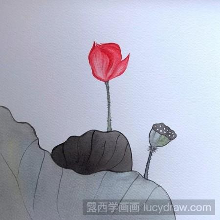 含苞待放的荷花水彩画怎么画