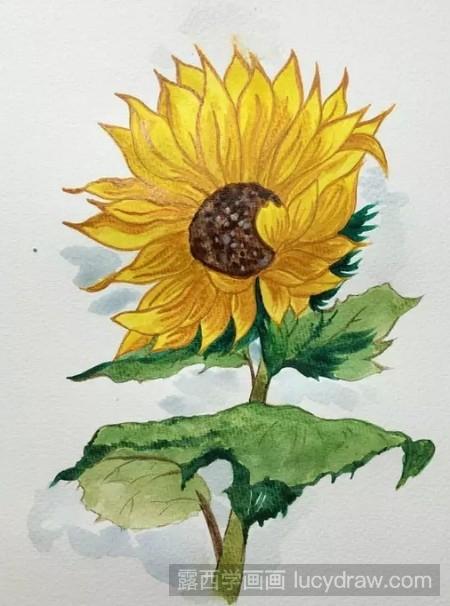 水彩画向日葵怎么画
