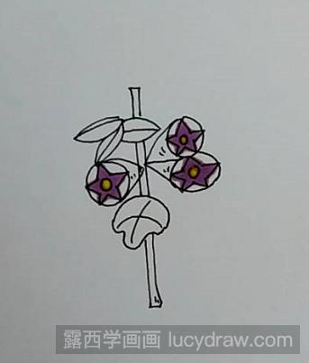 简笔画教程：教你画牵牛花