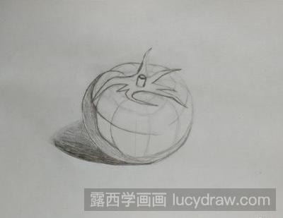 素描教程：教你画西红柿