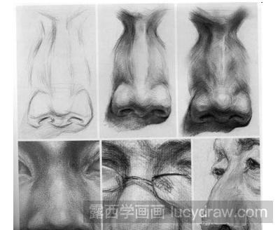 素描教程:教你画鼻子