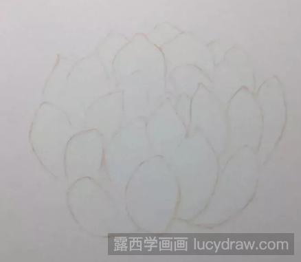 多肉彩铅画入门教程