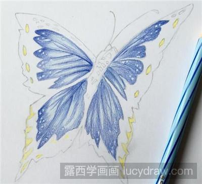 彩铅教程：教你画蝴蝶