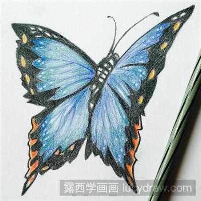 彩铅教程：教你画蝴蝶