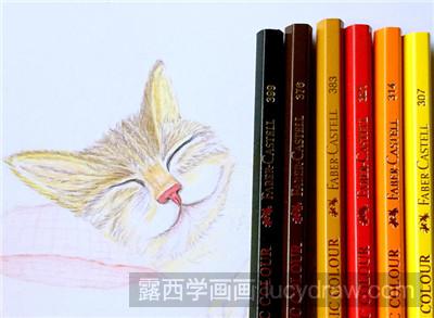 彩铅画教程：教你画午睡的猫猫