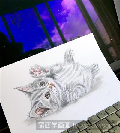 彩铅画教程：教你画打滚的猫咪