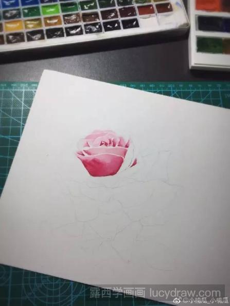水彩画粉玫瑰步骤教程
