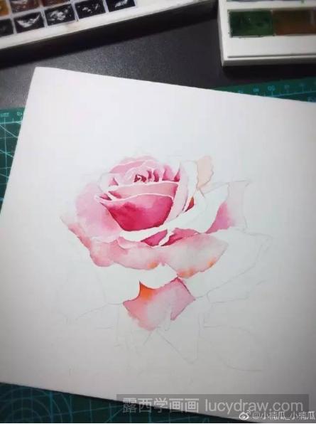水彩画粉玫瑰步骤教程
