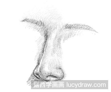 素描鼻子的详细画法