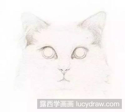 教你水彩画一只猫咪