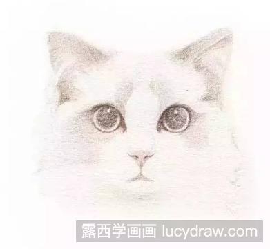 教你水彩画一只猫咪