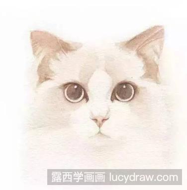 教你水彩画一只猫咪