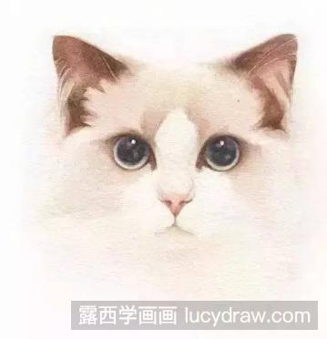 教你水彩画一只猫咪