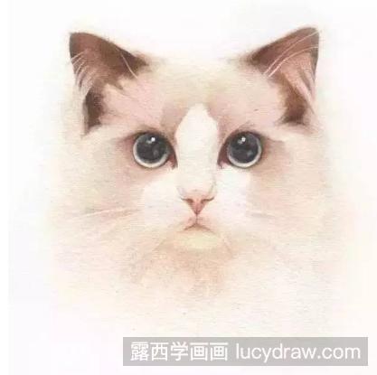 教你水彩画一只猫咪